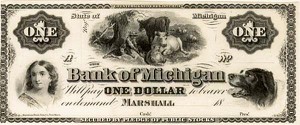 The Bank of Michigan - SOLD